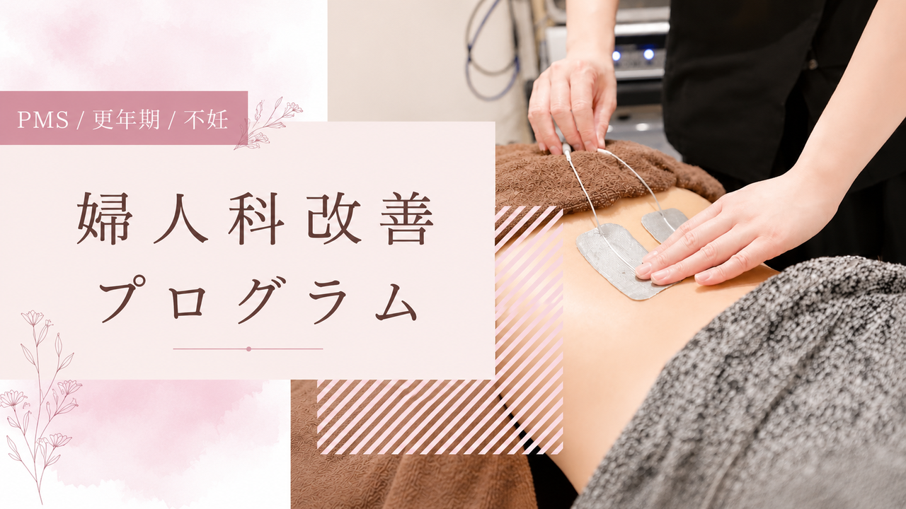 PMS、更年期、不妊、婦人科改善プログラム