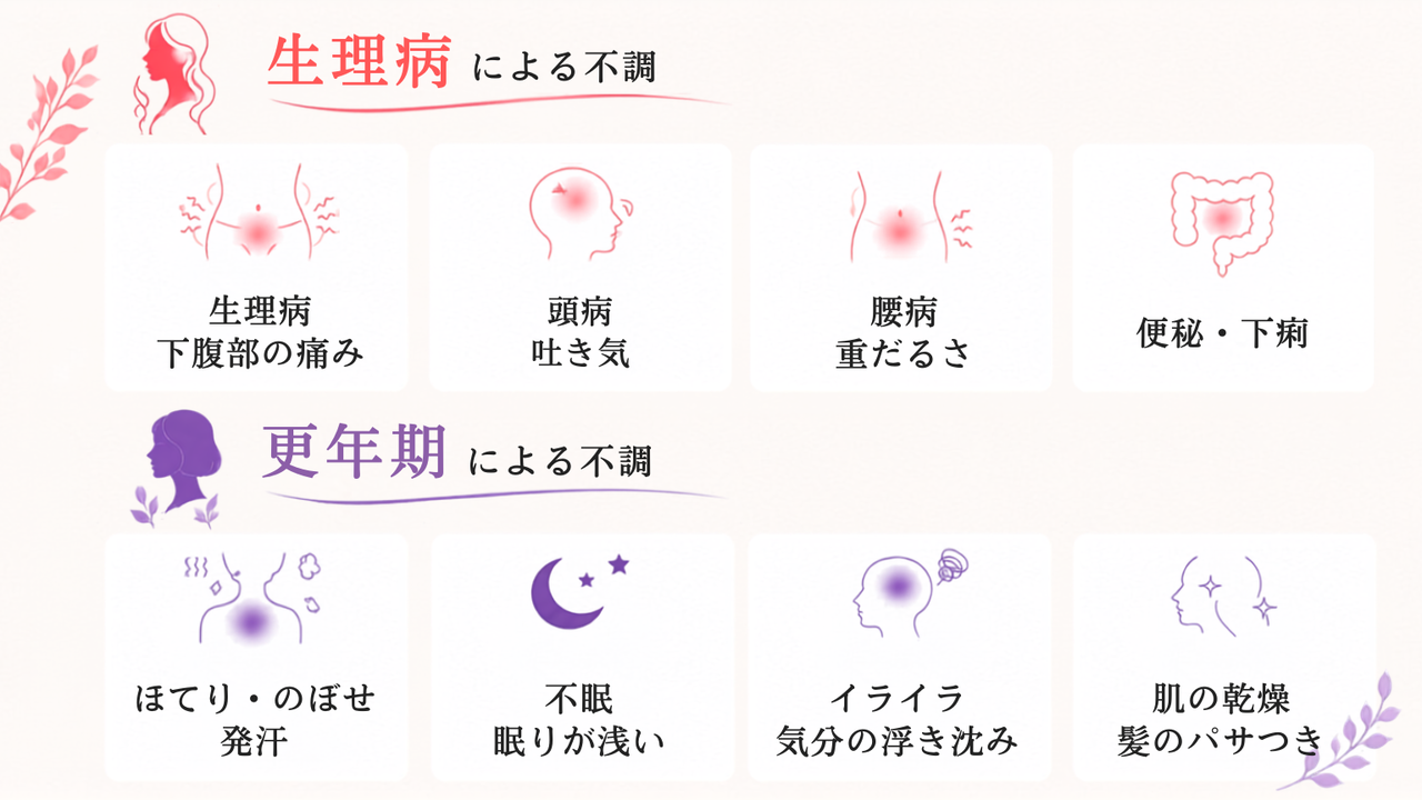 生理痛による不調の症状、生理痛、下腹部の痛み、頭痛、吐き気、腰痛、重だるさ、イライラ、気分の落ち込み、むくみ、肌荒れ、眠気、倦怠感、冷え、便秘、下痢、集中力の低下、食欲の変化、更年期による不調の症状、ほてり、のぼせ、発汗、イライラ、気分の浮き沈み、頭痛、めまい、耳鳴り、疲れやすい、倦怠感、不眠、眠りが浅い、肩こり、首こり、腰痛、関節の痛み、手足の冷え、むくみ、肌の乾燥、髪のパサつき、集中力の低下、物忘れ