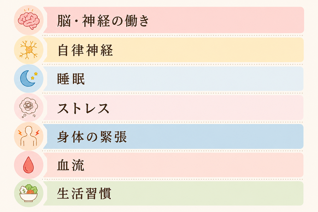 脳・神経の働き、自律神経、睡眠、ストレス、身体の緊張、血流、生活習慣