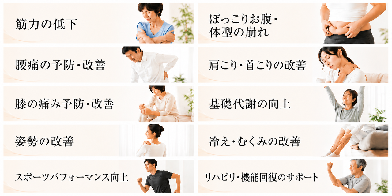 筋力の低下、運動不足、加齢による筋力低下、腰痛の予防、腰痛改善、体幹の筋力低下による腰の負担、膝の痛みの予防、膝の痛みの改善、脚の筋力低下、関節の負担軽減、姿勢改善、体幹とインナーマッスルの強化、スポーツパフォーマンスの向上、瞬発力、持久力の強化、ぽっこりお腹、体型の崩れ、インナーマッスルの低下、肩こり、首こりの改善、姿勢と筋力のバランスの乱れ、基礎代謝の向上、太りにくい身体づくり、冷えやむくみの改善、血流、リンパの流れをサポート、リハビリ、機能回復のサポート、ケガや手術後の筋力回復に