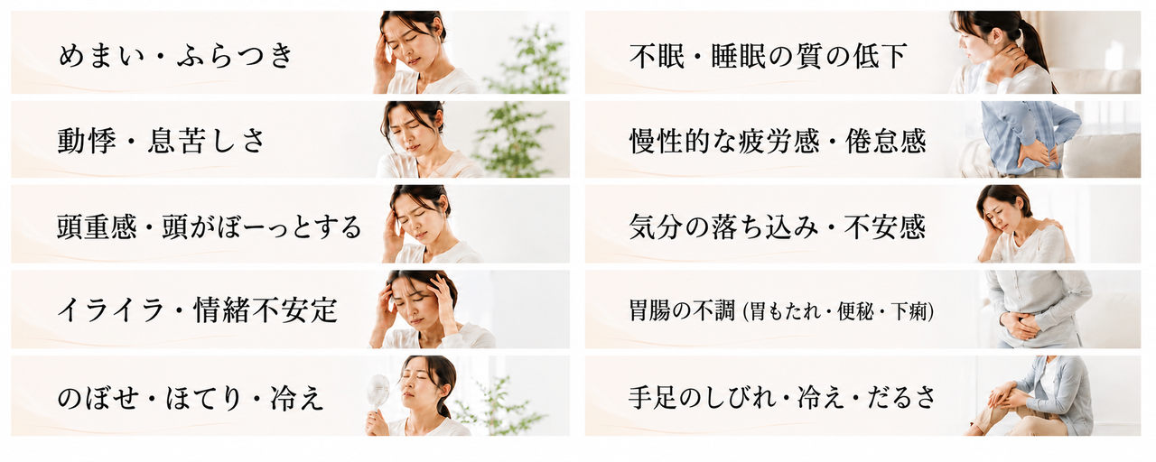 めまい、ふらつき、不眠、睡眠の質の低下、動悸、息苦しさ、慢性的な疲労感、倦怠感、頭重感、頭がぼーっとする、気分の落ち込み、不安感、イライラ、情緒不安定、胃腸の不調、胃もたれ、便秘、下痢、のぼせ、ほてり、手足のしびれ、冷え症、だるさ