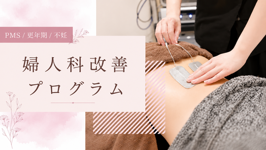 PMS、更年期、不妊、婦人科改善プログラム
