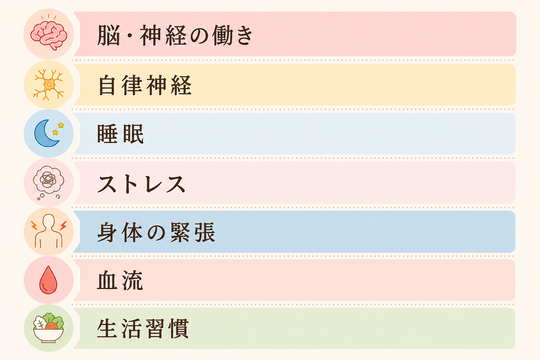 脳・神経の働き、自律神経、睡眠、ストレス、身体の緊張、血流、生活習慣