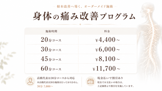 身体の痛み改善プログラム料金表